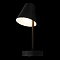 Светильник LOFT IT 10216/1W Black